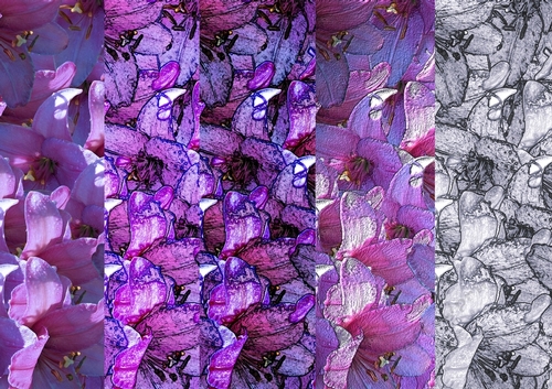 Lily, Scrapbooking 8x8 & A4 