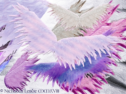 Angel Wings Part 2 Full View