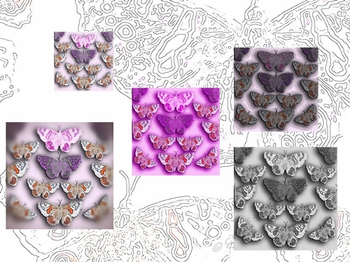 Butterflies 8x8 & 12x12 Scrapbooking