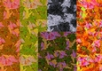 Maple Leaf Part 2, Scrapbooking 8x8 & A4
