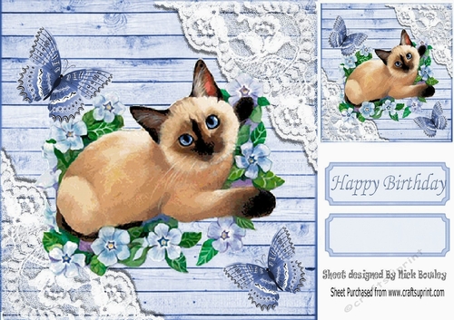 Blue Wood and lace corners 8x8 card front with siamese cat & butterflies