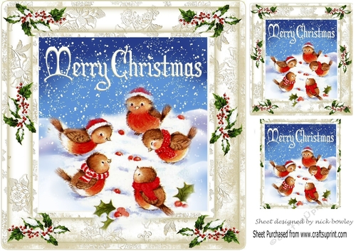 cute little robins feeding & playing in the snow 8x8