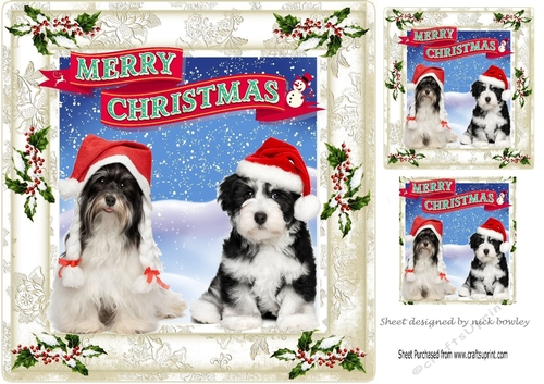 Lovely pair of dogs in santa hats in the snow 8x8