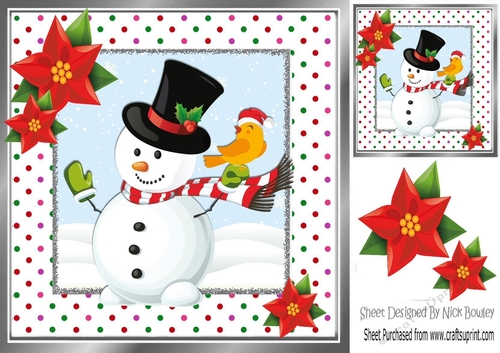 Mr snowman with robin in dotty frame 8x8