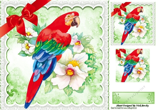 Lovely parrot with flowers and lace with red bow 8x8