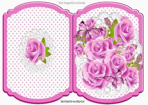 Stars and cerise pink roses on lace fold bracket card