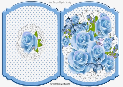 Stars and  blue roses on lace fold bracket card