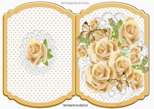 Stars and gold/cream roses on lace fold bracket card