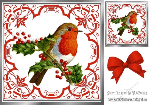 Pretty ornate red scroll 8x8 card front/insert frame with robin
