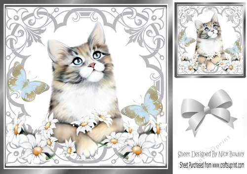 Pretty ornate silver scroll 8x8 card front/insert frame with kitten & daisies