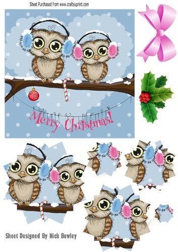 Cute owls on a branch wearing ear muffs snowflake pyramids