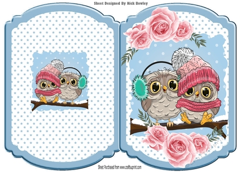 Cute owls on a branch in knitted hats, pink roses & blue star bracket card