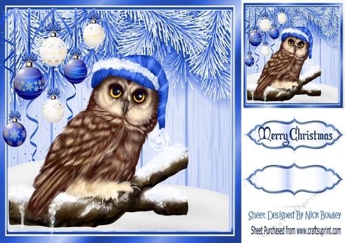 Lovely blue  Christmas with fern 8x8 card front with baubles & cute owl