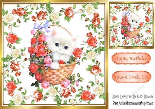 Cute white kitten in basket of roses 8x8