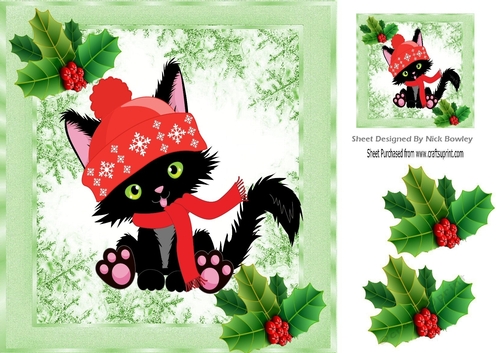 Pretty snowflake and holly frame with black kitty 8x8