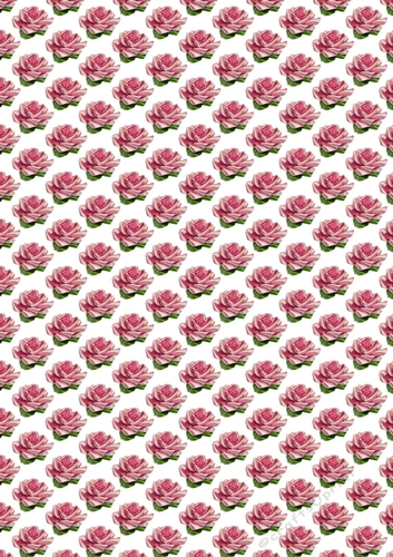 Pretty pink satin roses small (white background)