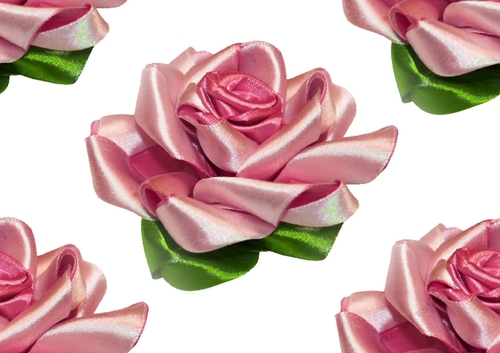 Pretty pink satin roses ( Big white background)