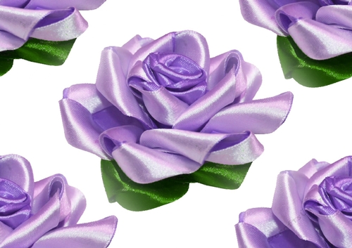 Pretty purple satin roses ( Big white background)