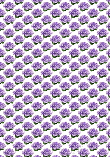 Pretty purple satin roses small (white background)
