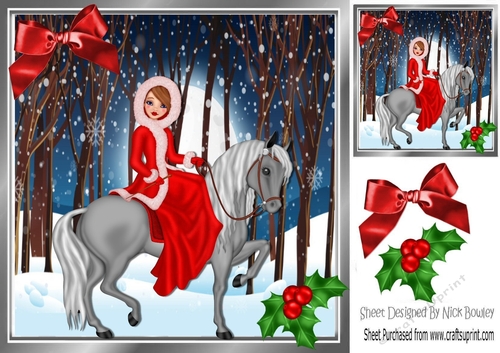 lady riding a horse in red coat in a enchanted snow woods 8x8