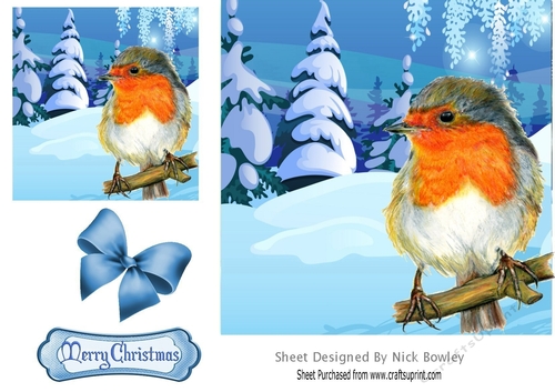 Lovely Robin on a branch in the snow 7x7 card front