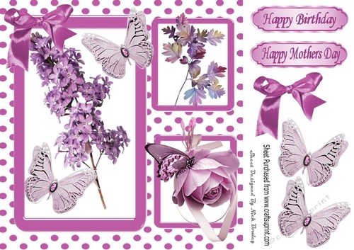 Pretty lilac flowers in polkadot window frame 8x8