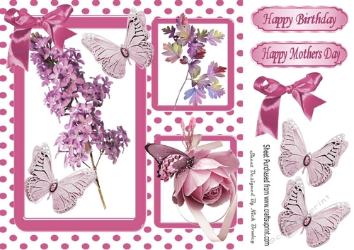 Pretty pink flowers in polkadot window frame 8x8