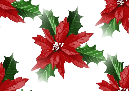 Lovely Red Poinsettia, backing paper  (big white background)