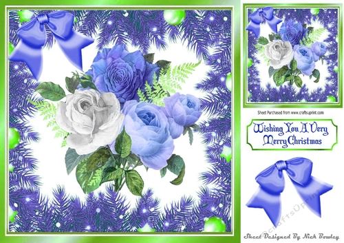 Pretty blue/white winter roses in bauble and fern frame 8x8