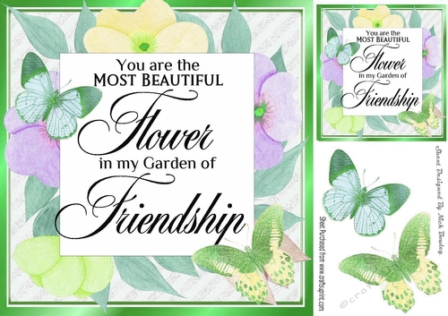 Pretty floral frame with FRIENDSHIP Verse with green butterflies card front 8x8