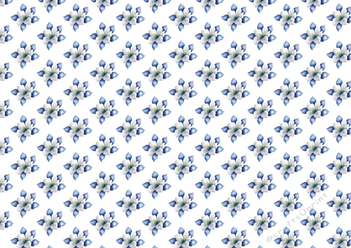 Blue and white poinsettias background paper A4