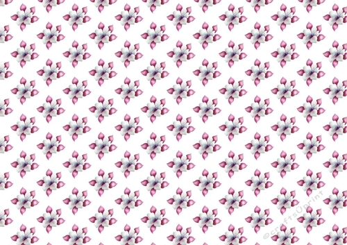 pink and white poinsettias background paper A4