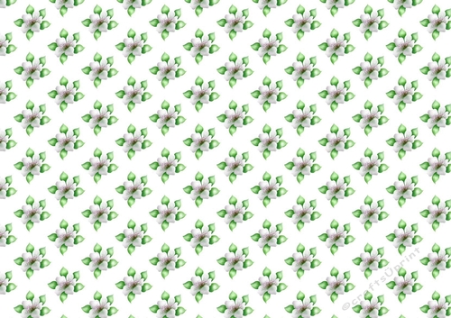 green and white poinsettias background paper A4