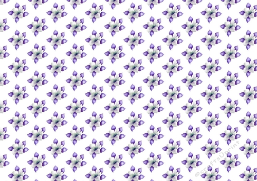 purple and white poinsettias background paper A4