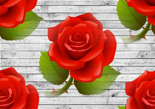 Big red roses on grey wooden background