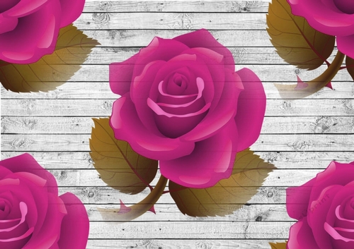 Big pink roses on grey wooden background