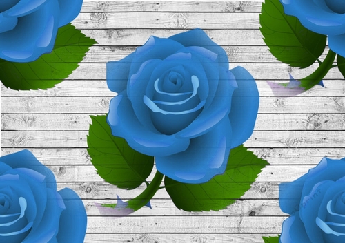 Big blue roses on grey wooden background
