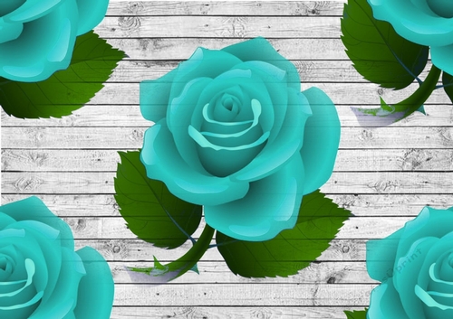 Big turq roses on grey wooden background