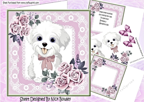 Cute white puppy in lace 8x8 frame with roses mini kit (pink)