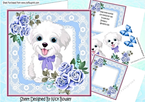 Cute white puppy in lace 8x8 frame with roses mini kit (blue)