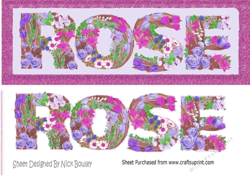 Pretty flower name ROSE DL (pink)