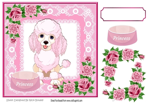 pink princess poodle with roses and lace 8x8