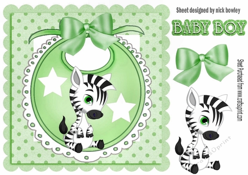 Baby Boys Green Bib with cute zebra and bow with stars