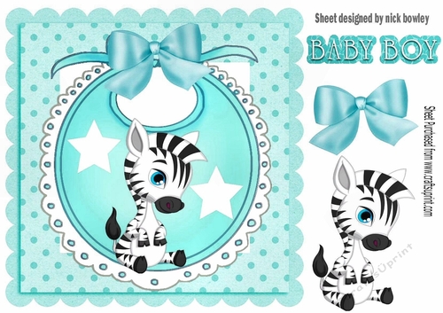 Baby Boys Turq Bib with cute zebra and bow with stars