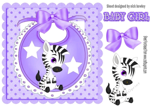 Baby Girls Purple Bib with cute zebra and bow with stars