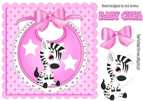 Baby Girls Pink Bib with cute zebra and bow with stars