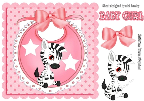 Baby Girls Bib with cute zebra and bow with white stars