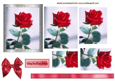 Red Rose in Silver Frame,pyramids