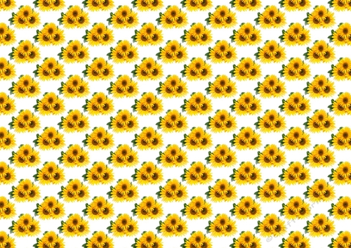 Lovely yellow sunflowers  backing paper (small)