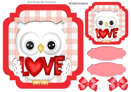 Red Check with border  8x8 card front with love white owl